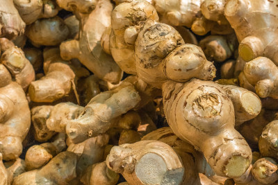 Fresh ginger rhizomes